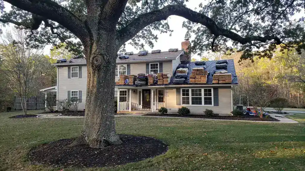 Getting a Tree Removal Estimate from Photos: What to Send